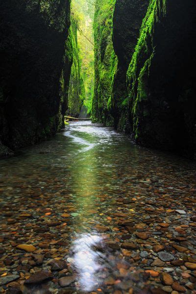 Mossy Gorge By Porbital On Deviantart Beautiful Photos Of Nature