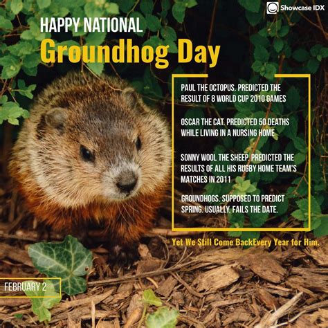 Groundhogs Day Jokes Freeloljokes