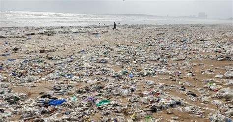 An Indian State Bans Plastic Bags Straws And More Will It Work