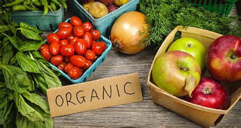 Awareness About Benefits Of Organic Foods To Propel Demand In Global Organic Fruits And