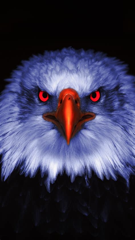 Download Wallpaper 2160x3840 Eagle Raptor Red Eyes Close Up 2160p