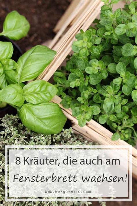 Dabei sind marienkäfer für hobbygärtner durchaus wahre glückskäfer, ernähren sie sich doch von blattläusen, spinnmilben und wanzen. Kräuter in der Wohnung ziehen ist so einfach! - WE GO WILD