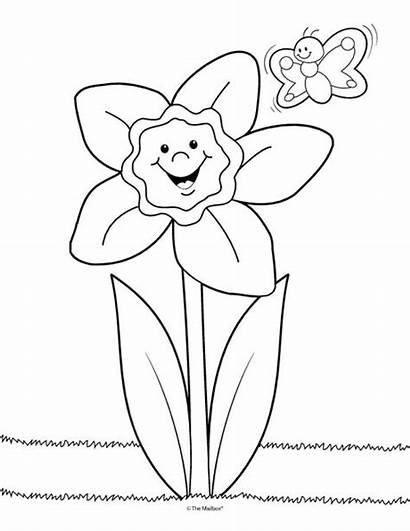 Coloring Pages Daffodil Sheets Colouring Daffodils Flower