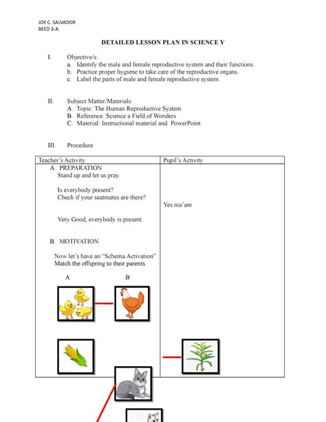 Detailed Lesson Plan Science 5 Reproductive System Beed 3 A Detailed Lesson Plan In Science
