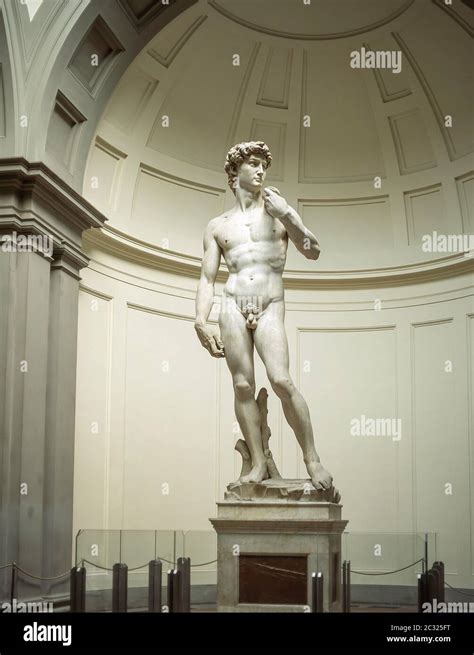The Statue Of David By Michelangelo Accademia Di Belle Arti