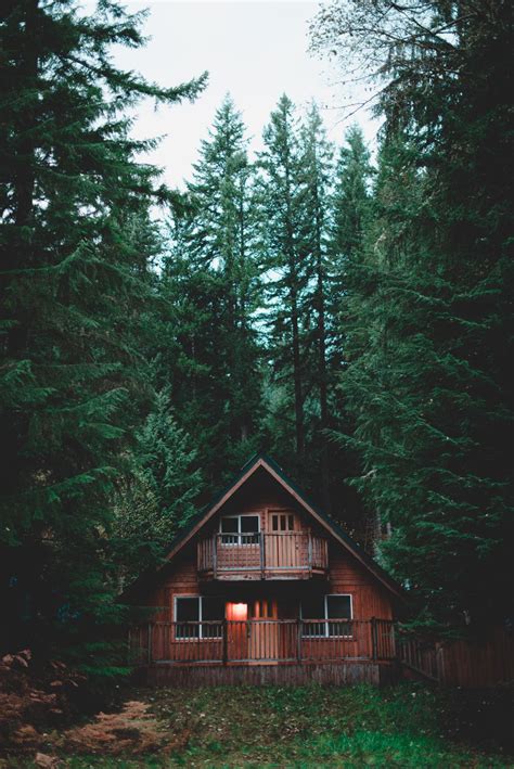 Travelocity has deals on tempting cabin rentals in washington coast starting at $102 pera night. timberphoto: ""I do not understand how anyone can live ...