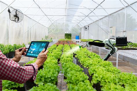 Greenhouse Smart Application Project That Reduces Waste And Improves
