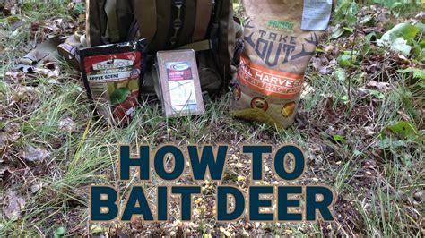 How To Place Bait For Your Deer Hunt Youtube