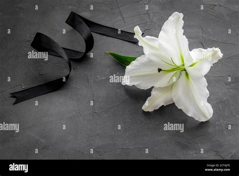 Funeral symbols - white lily flowers with black ribbon Stock Photo - Alamy