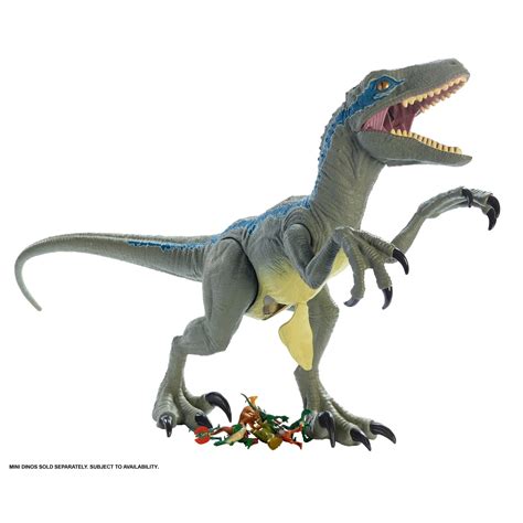 Jurassic World Super Colossal Velociraptor Blue 18” High And 3 5 Feet Long With Realistic Color