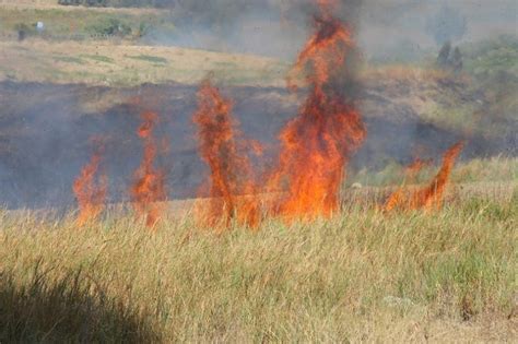 Continua l'emergenza incendi in abruzzo. Incendio di sterpaglie nel pescarese, le fiamme lambiscono ...