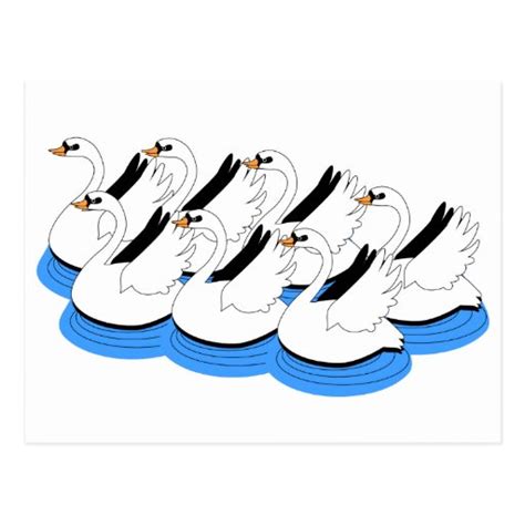 7 Swans Swimming Postcard Zazzle