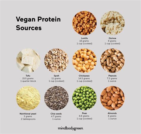 Vegan Protein Sources Chart Plant Based Protein Plant Based Diet