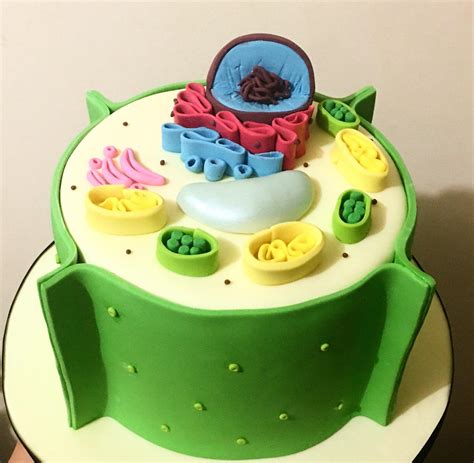 Animal Cell Cake Recipe Edible Plant Cell Model Cake