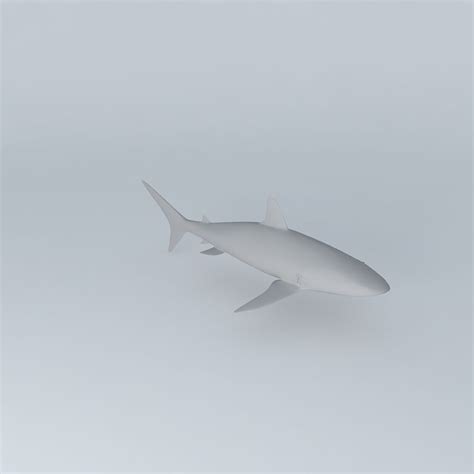 Shark 3d Model Cgtrader