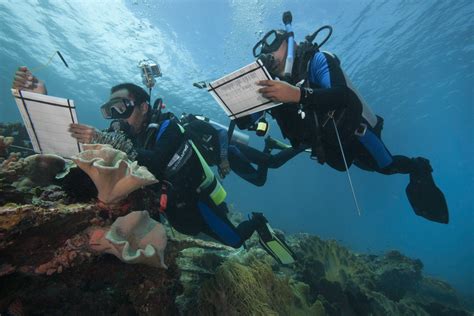 Healthy coral reefs are good for tourism – and tourism can be good for