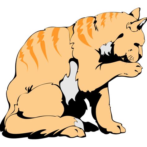 Orange Cat Png Svg Clip Art For Web Download Clip Art Png Icon Arts