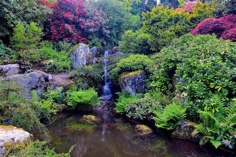 Kubota Garden Seattle Washington Garden Waterfall Landscape Wallpapers Hd Desktop And