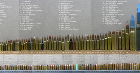 Tactical World Ammo Comparison Photo 24192 Hot Sex Picture