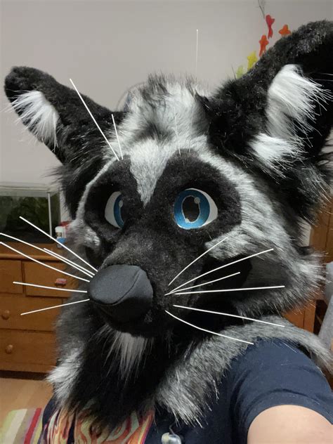 Finished Silver Fox Fursuit Base By Citymuttfursuits Rfurry