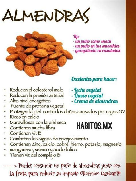 Beneficios Y Propiedades De Las Almendras Infograf As Y Remedios