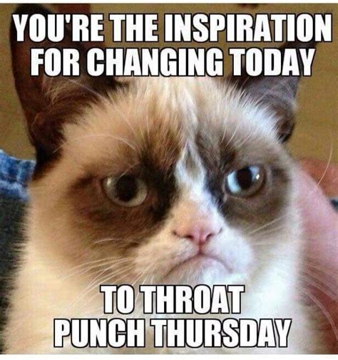 Throat Punch Thursday Funny Cartoons Jokes Grumpy Cat Humor Funny