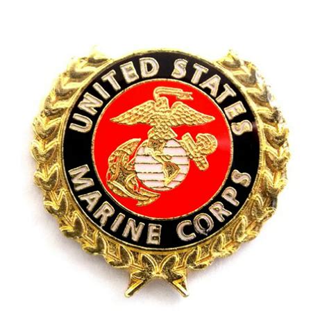 Usmc Ega United States Marine Corps With Gold Leaves Lapel Hat Pin