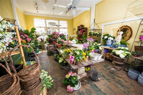31 Top Anitas Garden Shop Design Jacksonville Fl Trend In 2021 In