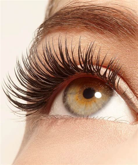 Natural Oils Can Give You Longer Thicker Lashes Eyelash Growth Serum Eyelash Growth Best