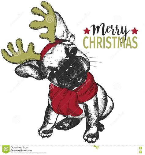 It is the day before new year's eve but i still do not think t is to late to draw christmas things. Vector Portrait Of Christmas Dog. French Bulldog Dog ...