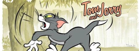 Tom And Jerry Cat And Mouse Fb Cover10