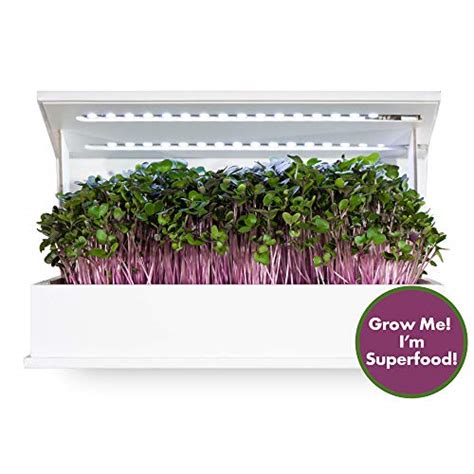 Grow Book Countertop Microgreens Garden Cruciferous Edition Indoor