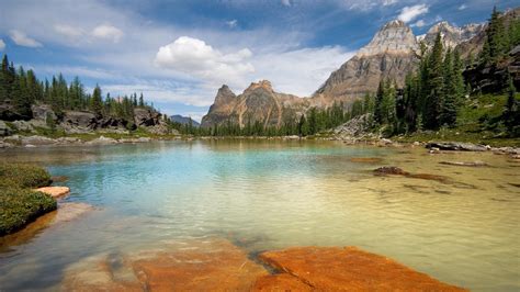 We did not find results for: Nature Wallpaper aa Hd Latest Wallpapers Best Nature 1920x1080