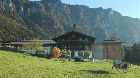 Scuderia Fohlenhof Ebbs Associazione Allevatori Haflinger Del Tirolo