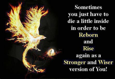 We did not find results for: 39 best images about I Will Rise....Out of the Ashes... on ...