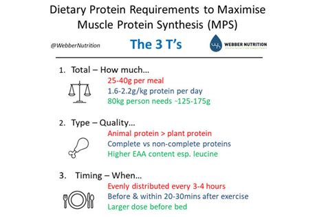 3 Ts Of Dietary Protein Intake Guide 2023 Webber Nutrition