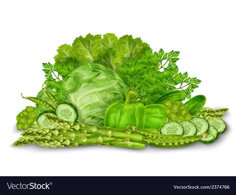 Green Vegetables Mix On White Royalty Free Vector Image