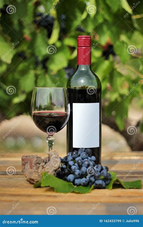 Still Life Of A Red Wine Bottle Glass And Grape Strain Stock Image