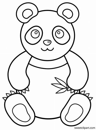 Panda Colorir Desenhos Urso Coloring Animais Imprimir