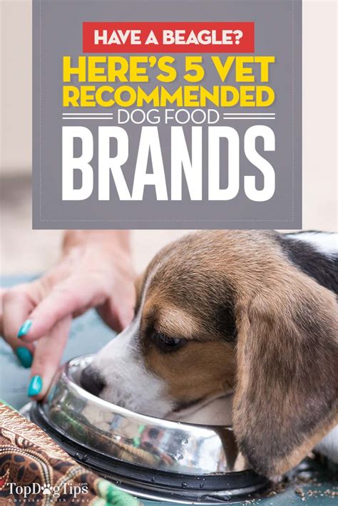 It is also recommended by many dog owners that chose to feed their dogs with this dog food. Best Dog Food for Beagles in 2020: Top 5 Vet Recommended ...