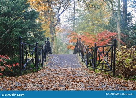 Colorful Autumn Landscape Stock Photo Image Of Leaf 162109696