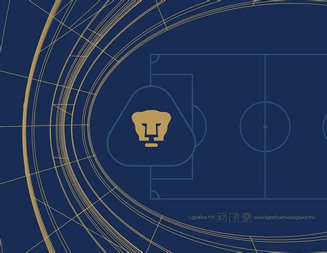 Mod Ctg Pumas Unam Hd Wallpaper Pxfuel