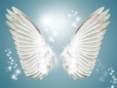Two White Angel Wings Against A Blue Background