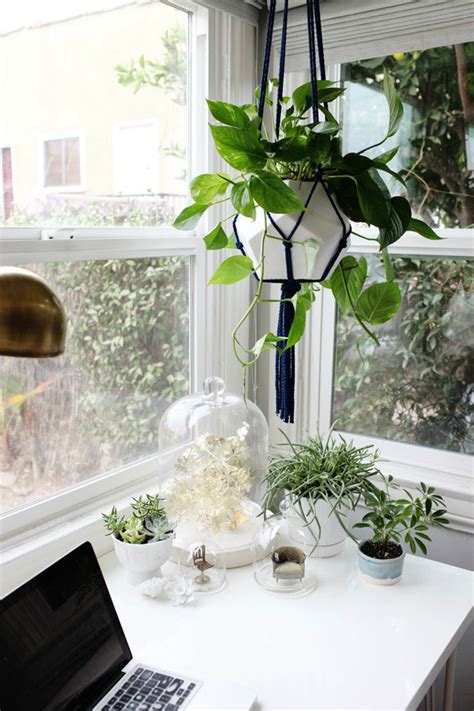 Up to 70% off top furniture. Seven Good Reasons To Have Plants In Your Home Office ...