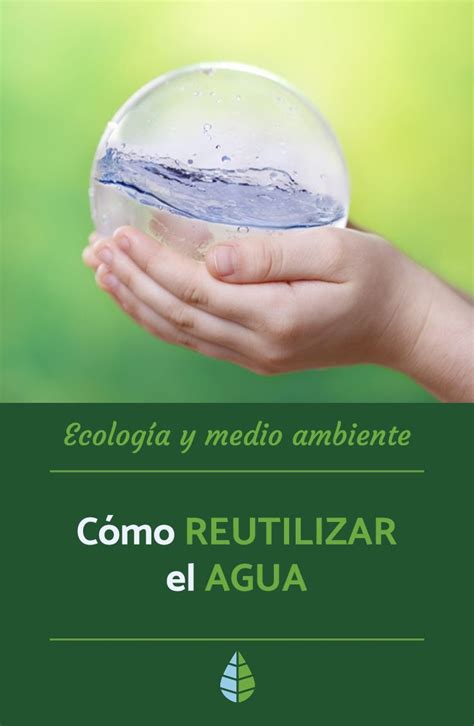 Cómo Reutilizar El Agua Consejos Prácticos Reutilizar Ecología