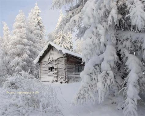 Beautiful Log Cabin In Snow Cabins Pinterest
