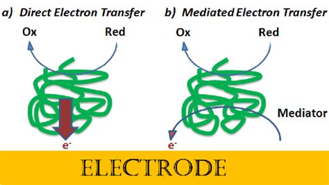 Scheme Of Electron Transfer Processes On An Electrode Surface A