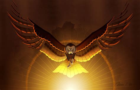 Wallpaper Owl Bird Wings Art Hd Widescreen High Definition