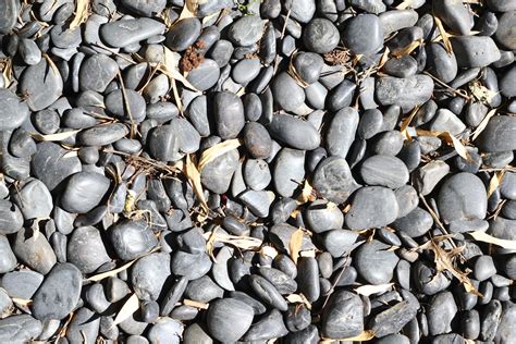 Stone River Rocks With Branches Throughout Texture X