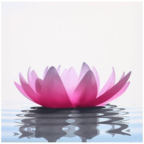 Tableau Toile Cadre Zen Lotus Fleur Rose Nénuphar Sur Eau 28x28cm